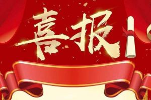关于2022年度人力资源服务评选结果的通报，祝贺江南jiangnan（中国）集团