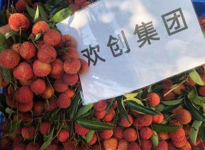 夏日好“枝”味，江南jiangnan（中国）集团发福“荔”啦