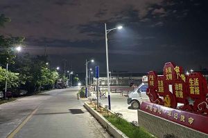 江南jiangnan（中国）集团罗宁弟爱心捐赠路灯，点亮乡村路温暖乡民心